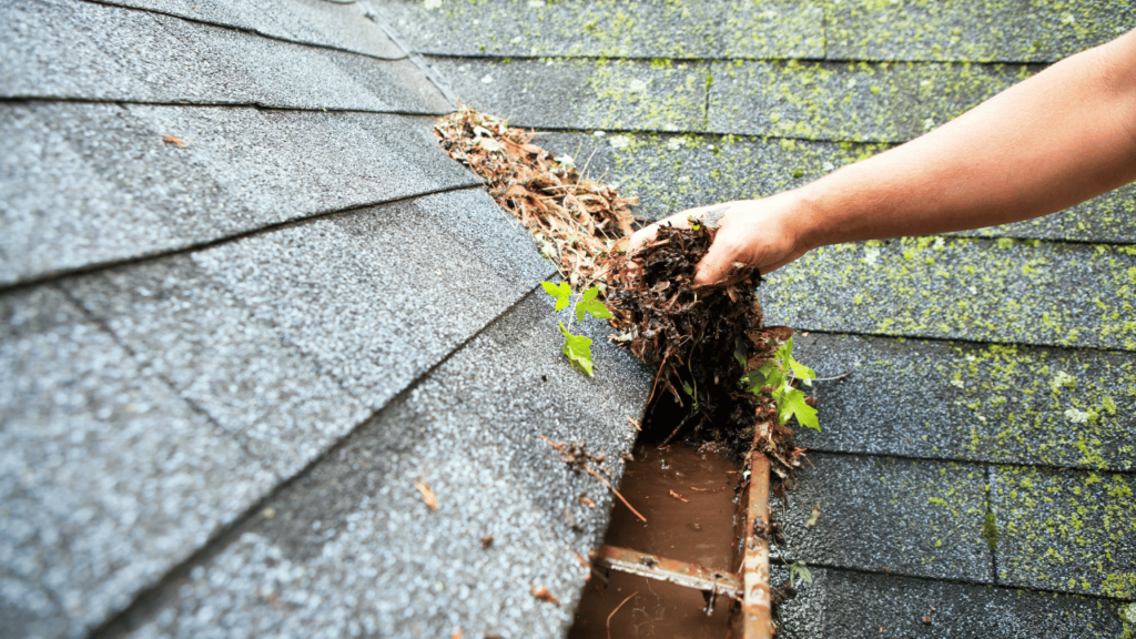 Complete Guide to Local Gutter Cleaning Services in Greensboro by Skyway Gutters Company