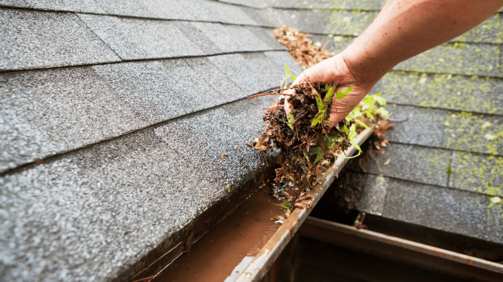 Professional Gutter Cleaning Services in Greensboro