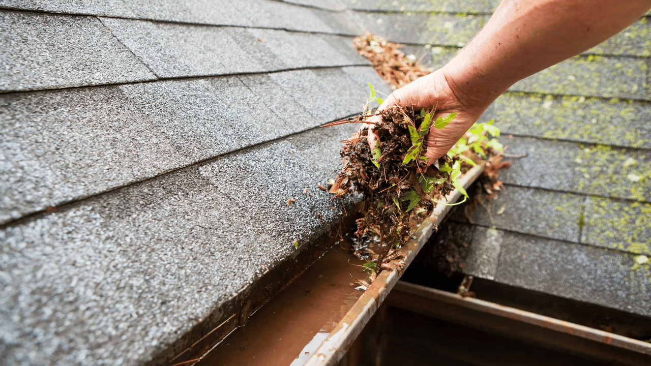 Professional Gutter Cleaning in Cary Nc