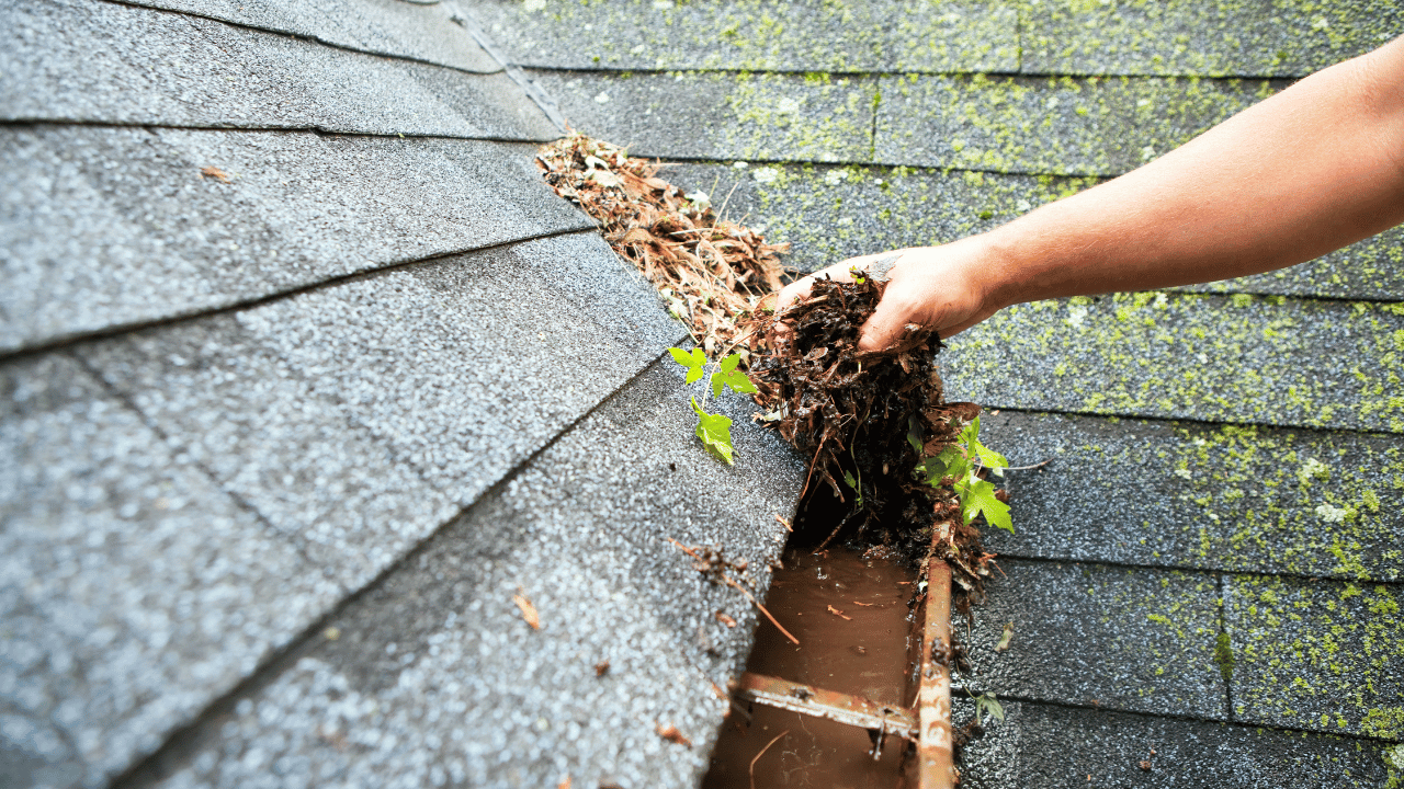 Rain Gutter Cleaning Services in Greensboro, NC