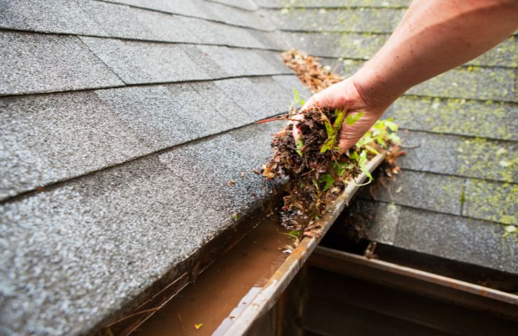 Residential Gutter Cleaning Gastonia NC