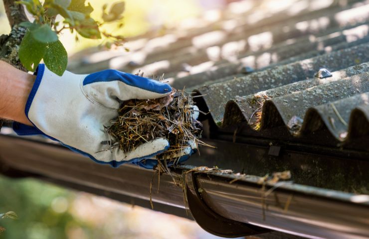 Rain Gutter Cleaning High Point NC