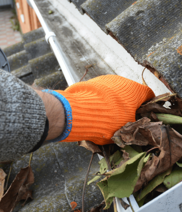 How Regular Gutter Cleaning Saves Money