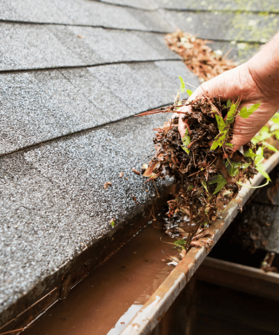 Why Choose Skyway Gutter Cleaning Chapel Hill NC